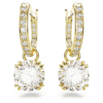 5638802_var1_png-1000×1000.