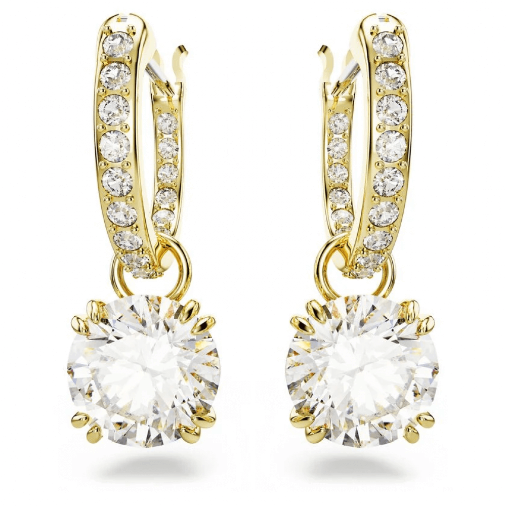 5638802_var1_png-1000x1000.