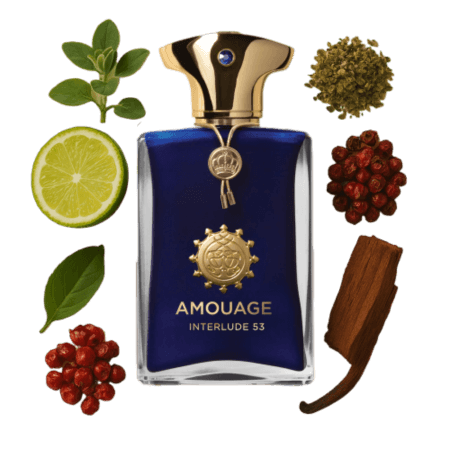 امواج إنترلود 53 للرجال - أو دي بارفان، 100 مل